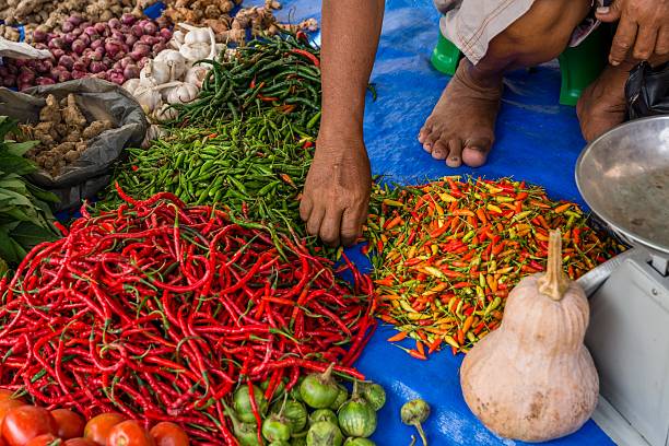istock exploring the island of sumatra in indonesia 485832386