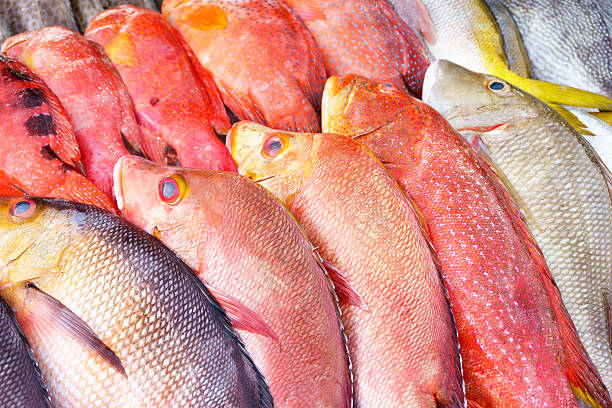 istock Red and white snapper at fish market display 485832630