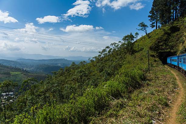 istock riding the train in sri lankan landscape 485835174