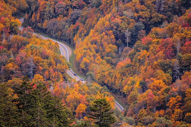 яркие цвета осени в smokies, теннесси - blue ridge mountains autumn appalachian mountains great smoky mountains стоковые фото и изображения