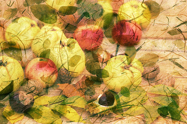 istock Autumn harvest - abstract autumn decoration 485841562