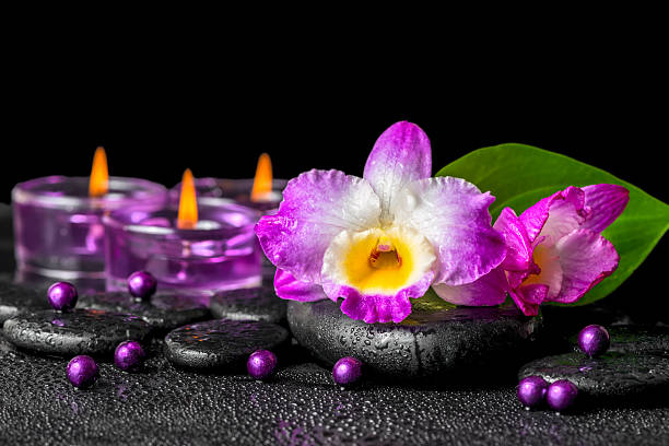 istock spa background of purple orchid dendrobium, green leaf Calla 485842856