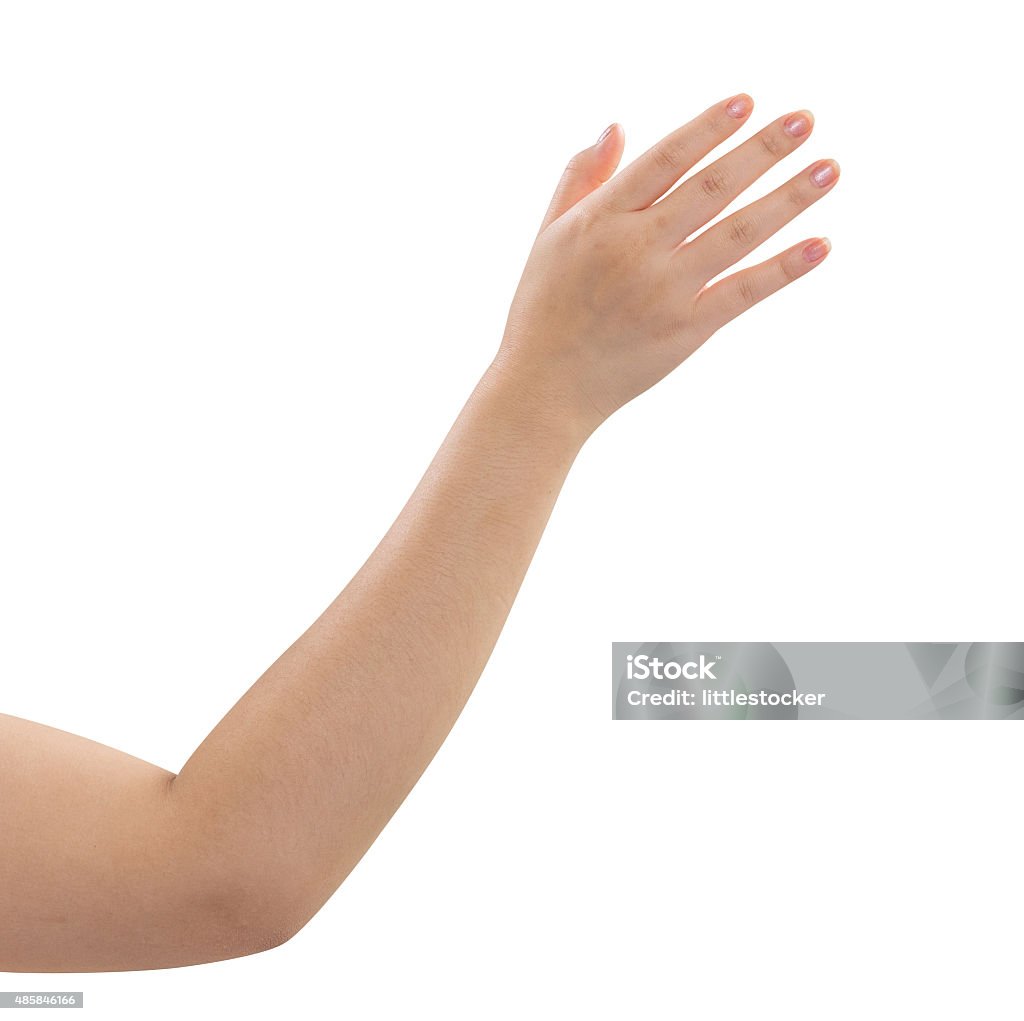 Frauen hand, isoliert auf weißem Hintergrund - Lizenzfrei Frauen Stock-Foto