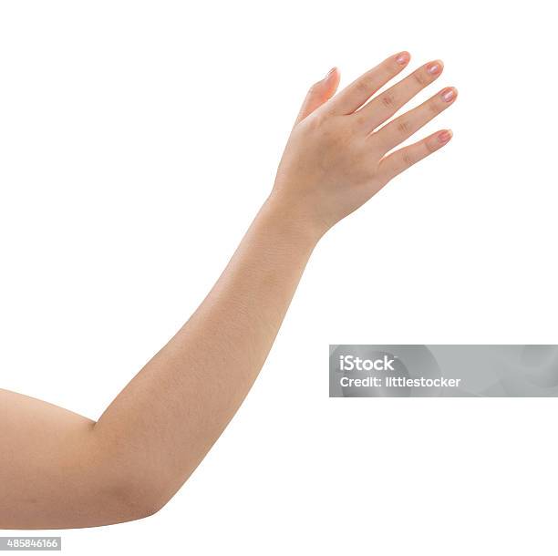 Frauen Hand Isoliert Auf Weißem Hintergrund Stockfoto und mehr Bilder von Frauen - Frauen, Umrisslinie, 2015