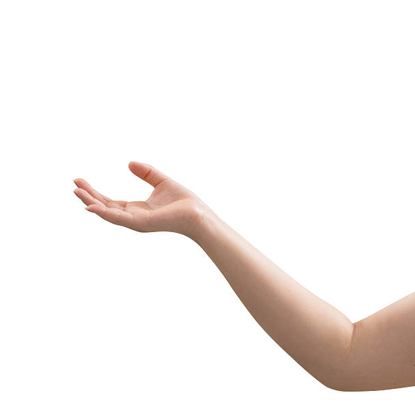 istock Women open hand isolated on white background 485848550