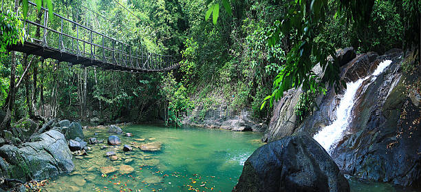 아시아 태국발 정글 가로 - waterfall mountain stream thailand 뉴스 사진 이미지