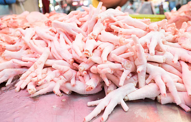 close-up de frango cru fresco de pé no balcão no mercado - chicken animal foot farm store imagens e fotografias de stock