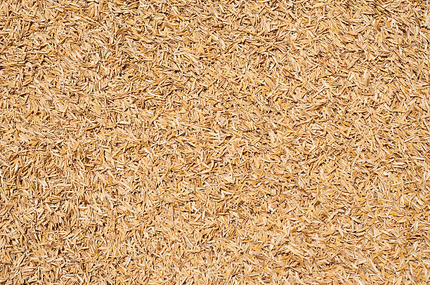 istock Pile of rice paddy as background. 485853147