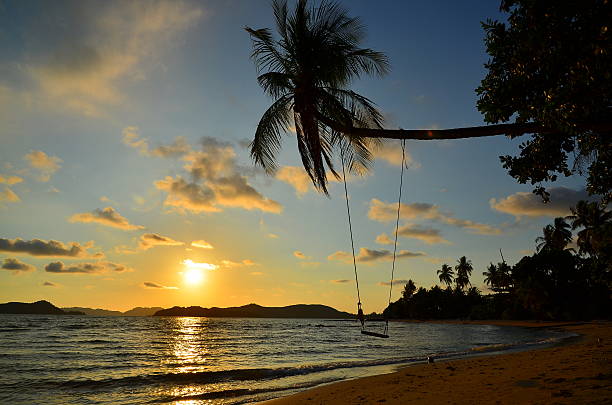 Beach with Palm Tree at Sunset stock photo