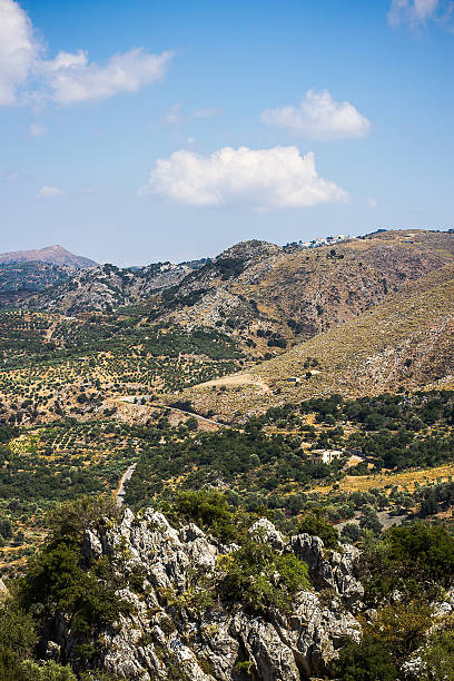 Mediterranean mountain landscape in Greece with olive tree