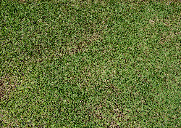 textura de grama verde grama andar - soccer soccer field artificial turf man made material - fotografias e filmes do acervo