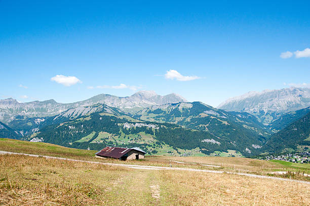 istock Mountain landscape in Alps 485857321