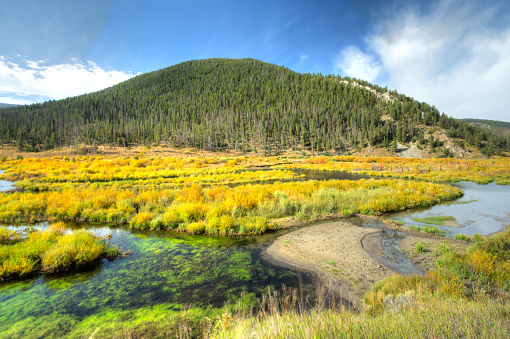 Serence scene of fall colors in the mountains in Montana.