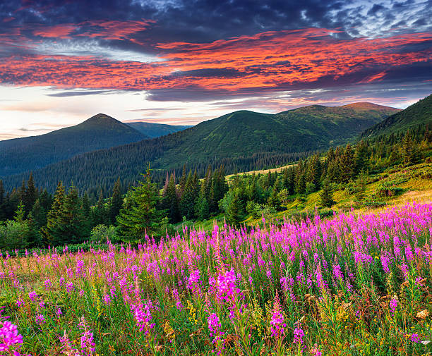 istock Beautiful autumn landscape in the mountains 485858087
