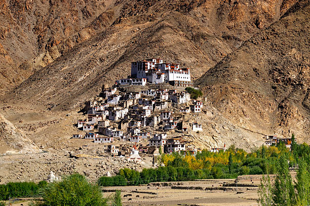 Chimray monastery with view of Himalayan mountians in background,Ladakh,Jammu and Kashmir, Northern India