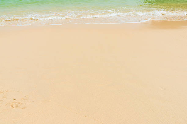 istock Wave on beach and tropical sea 485858994