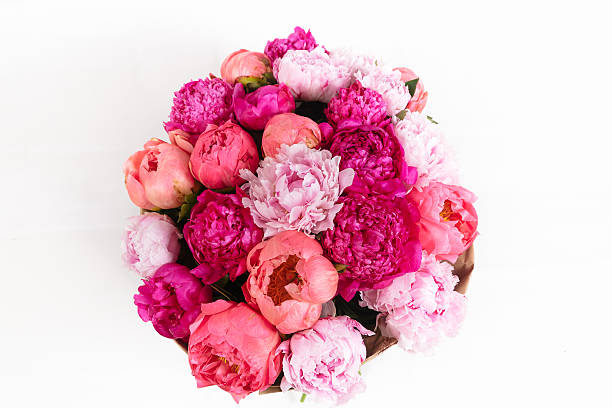istock Rich bunch of peonies and tea roses on white background 485861208