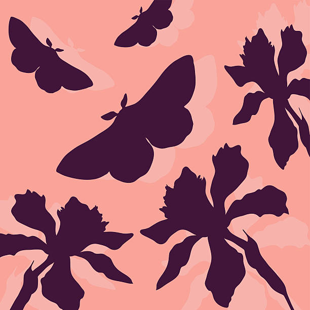 silhouetten der schmetterlinge und narcissus - daffodil flower silhouette butterfly stock-grafiken, -clipart, -cartoons und -symbole