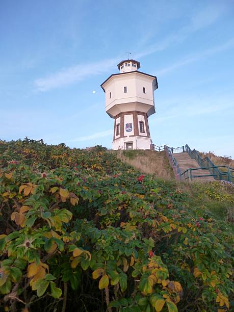 istock Langeoog in autumn 485868441