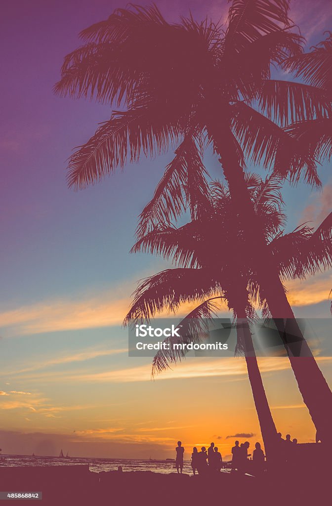 Retro Beach Party Under Palm Trees Retro Style Image Of Young People At A Beach Party In Hawaii Retro Style Stock Photo