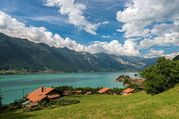 lago di brienz in svizzera su sfondo di montagna - berne canton switzerland landscape travel foto e immagini stock
