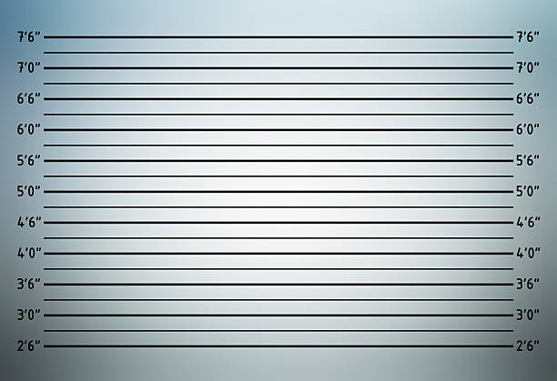 police lineup or mugshot background - achterdocht fotos stockfoto's en -beelden