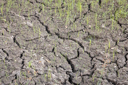 Closeup of dry soil texture