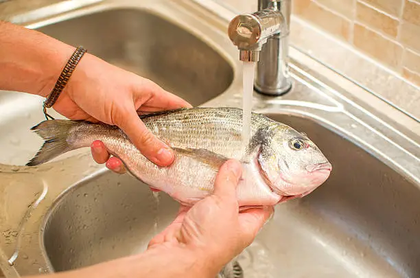 Photo of hands washing raw gilthead fish food in kitchen sink