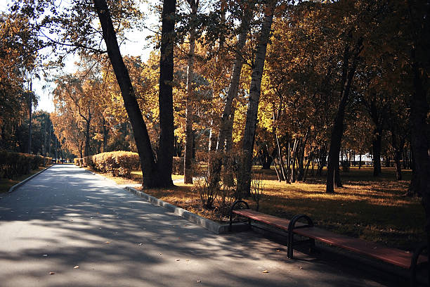 istock autumn landscape in Holland Park 485876128
