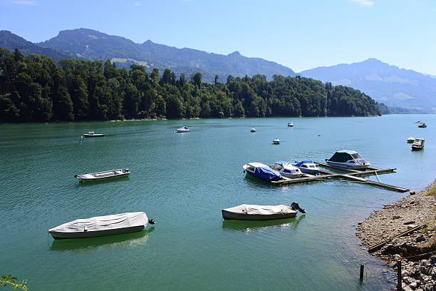 istock Swiss lake on sunny day 485876902