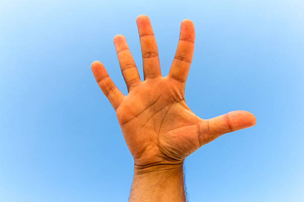 istock Hand showing thumbs up against the sky 485877188