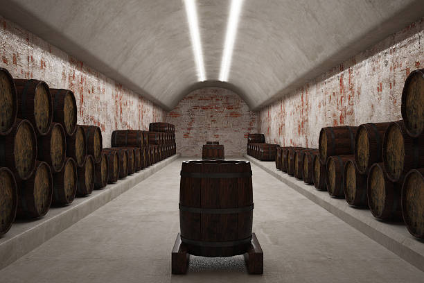 Cellar with wine barrels. 3d illustration. Illuminated cellar with brick walls and rows of wine barrels on the concrete floor. australian rugby championship stock pictures, royalty-free photos & images