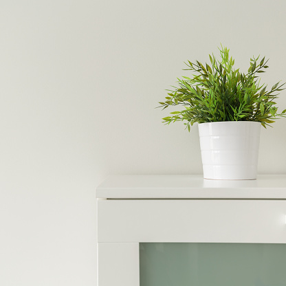 Close up of green plants in white pots on cabinet
