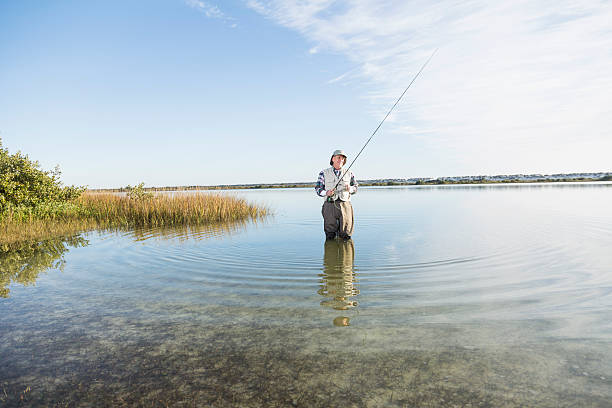 istock Senior man fly fishing 485878319