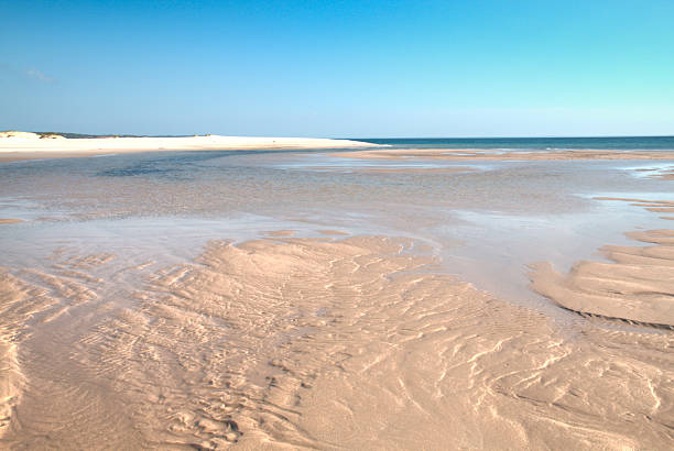 istock Empty beach on the Bazaruto Island 485878478