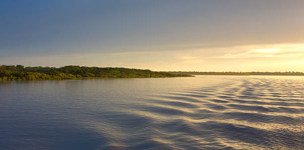 Colorful sunset on the river Amazon in the rainforest, Brazil Wonderful panoramic yellow sunset on the large river Amazon with ripples. Amazonas State, Brazil amazon river stock pictures, royalty-free photos & images