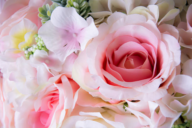 istock pink rose beautiful flowers 485879468