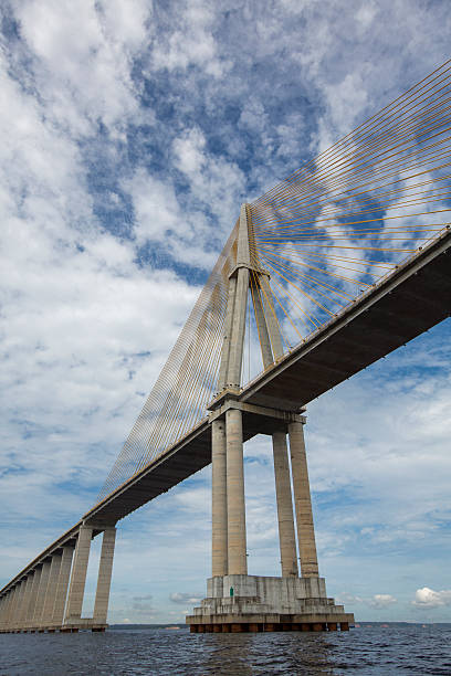 istock The Manaus Iranduba Bridge over the Amazon River, Brazil 485880430