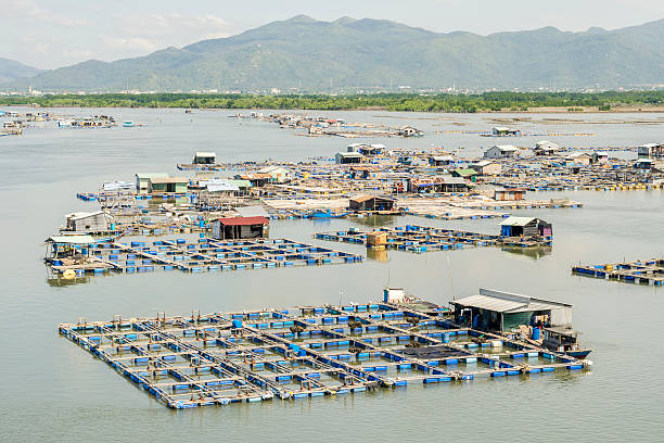 istock Raft houses and the floating cages on fresh water 485881458