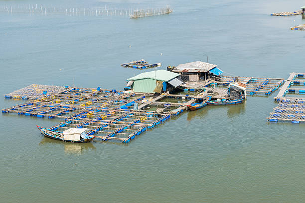 istock Raft houses and floating cages on fresh water 485882092