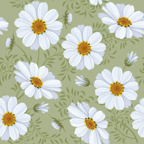 floral seamless pattern-daisy - chamomile entertainment nature leaf stock illustrations