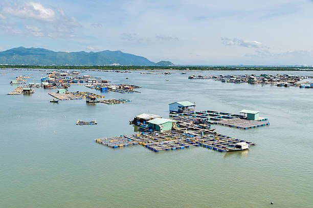 istock Raft houses and floating cages on fresh water 485882252