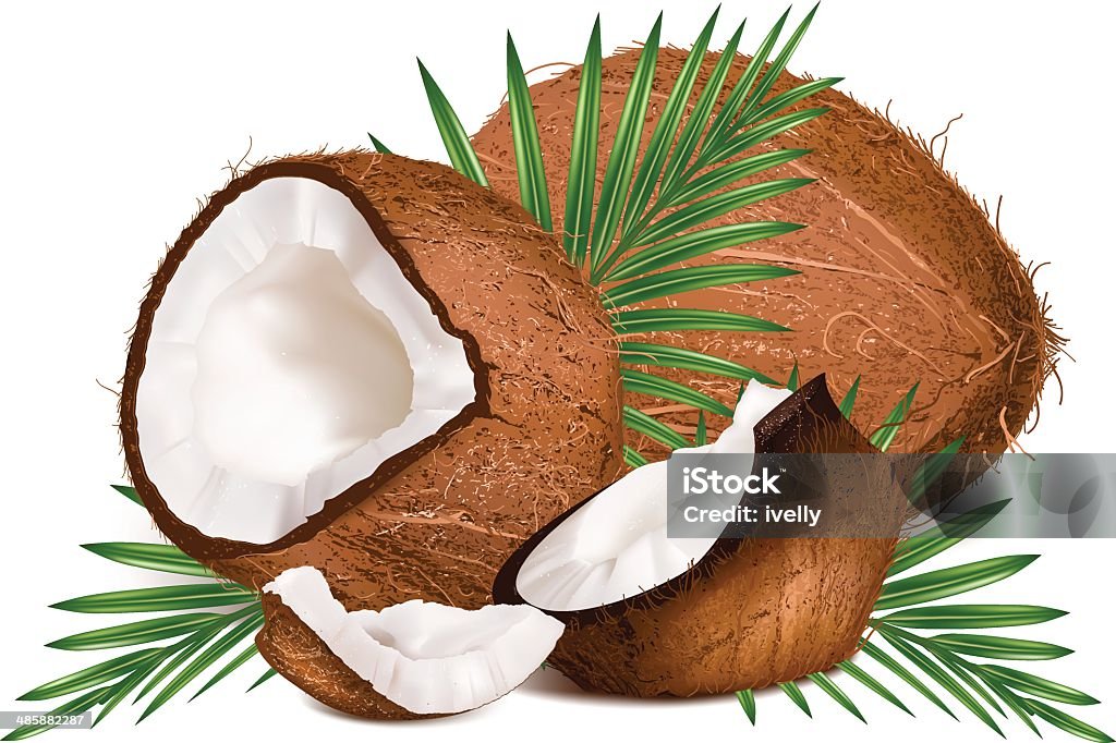 Coconuts with leaves and slice. Coconuts with leaves. Vector illustration. Breaking stock vector