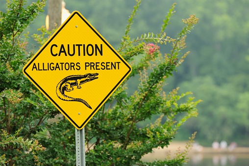 Alligators present caution sign near river.