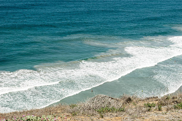 Riptides at Torrey Pines A view of riptides from Torry Pines Sate Reserve. torrey pines state reserve stock pictures, royalty-free photos & images