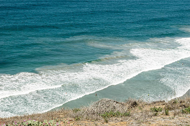 riptides w cichej okolicy torrey pines - tide zdjęcia i obrazy z banku zdjęć