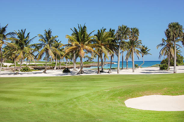 istock Golf club with palms in the garden 485884135