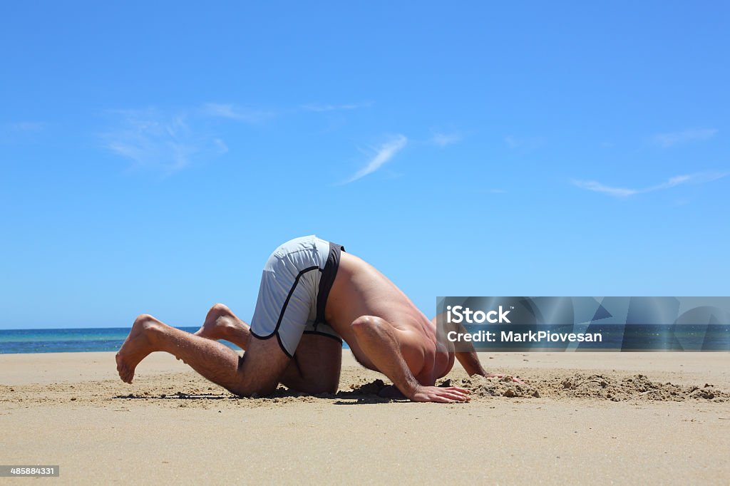 Denial Having your head in the sand. Head in the Sand Stock Photo