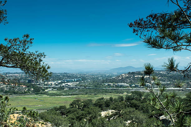 carmel valley z torrey pines sate rezerwy - torrey pines state reserve zdjęcia i obrazy z banku zdjęć