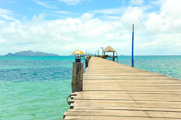 istock Wooden pier on summer season 485884870